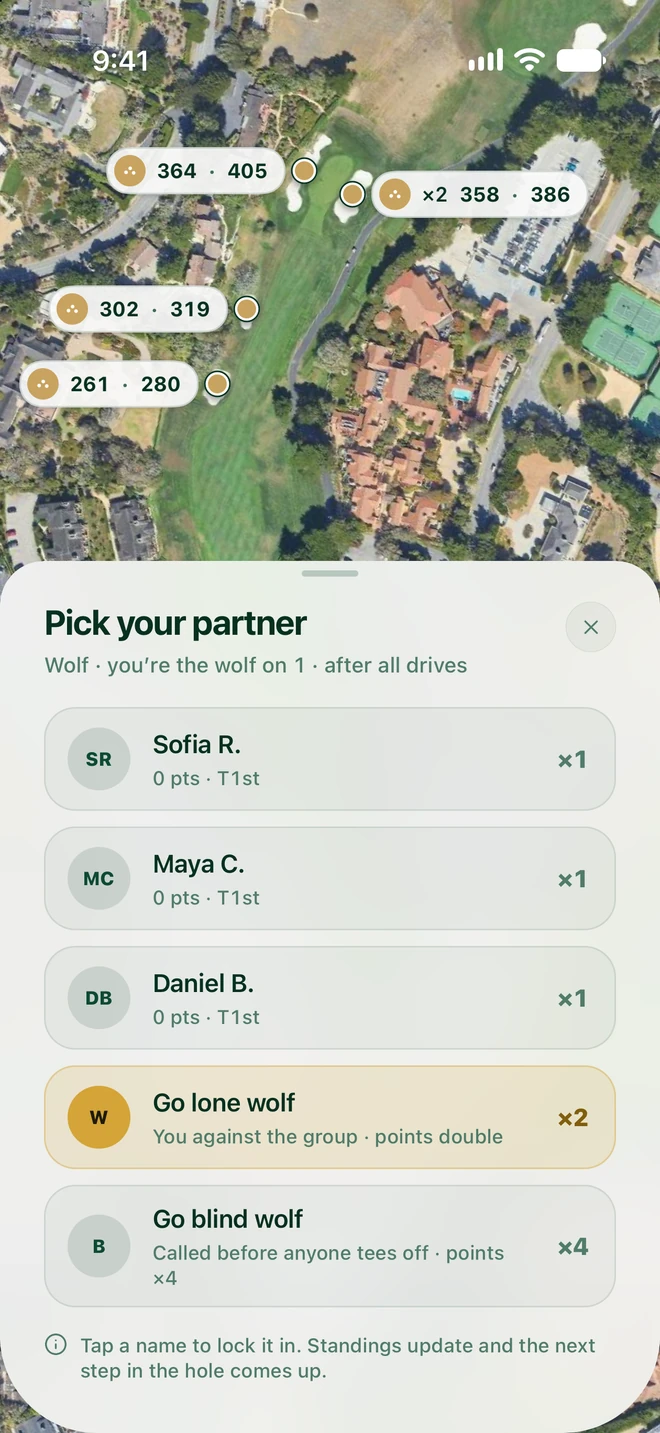 Picking a partner in Wolf: choose a player, or go lone wolf for double points